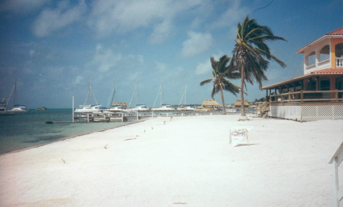 Picture
